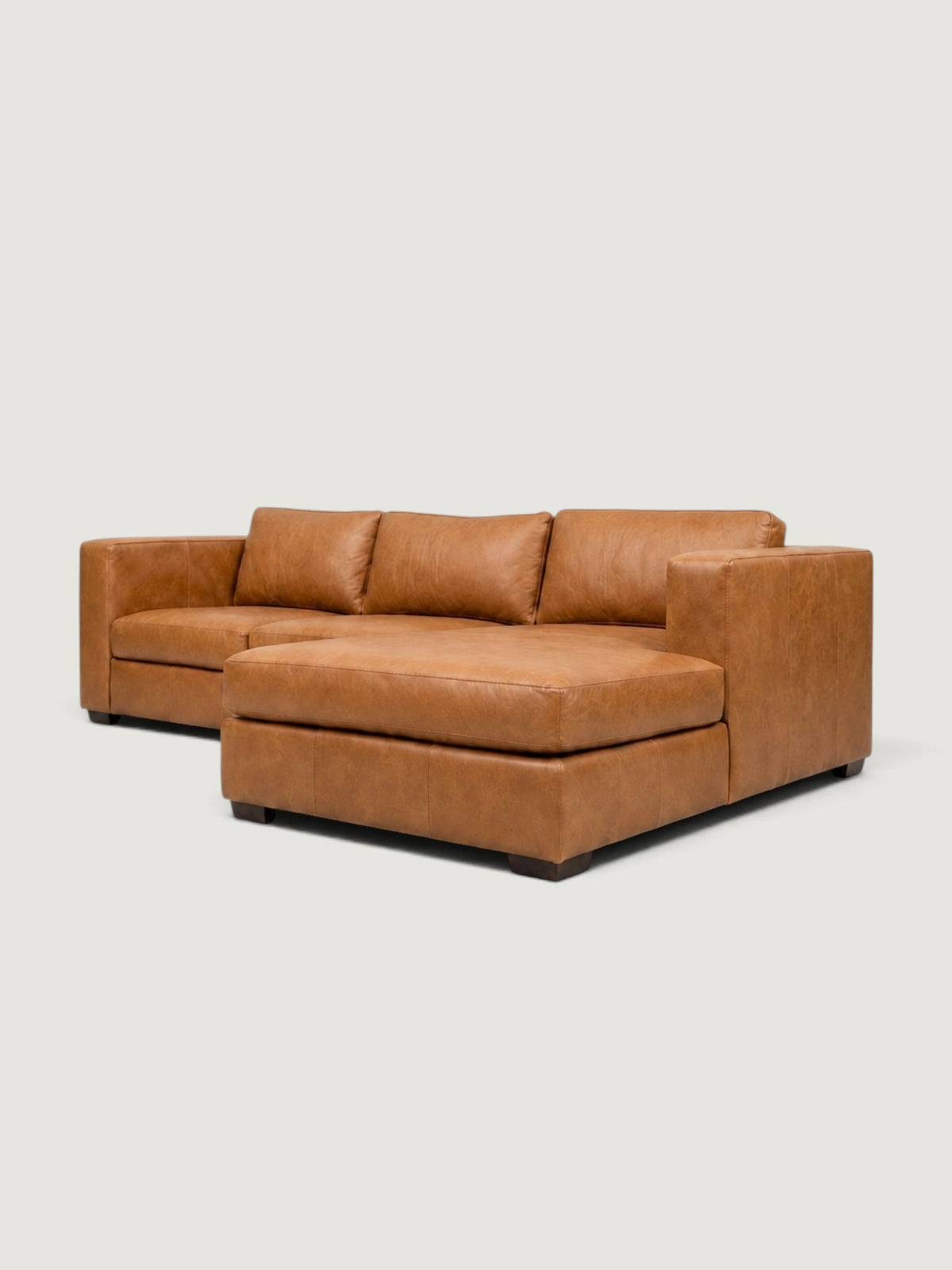 Zuri Leather Daybed