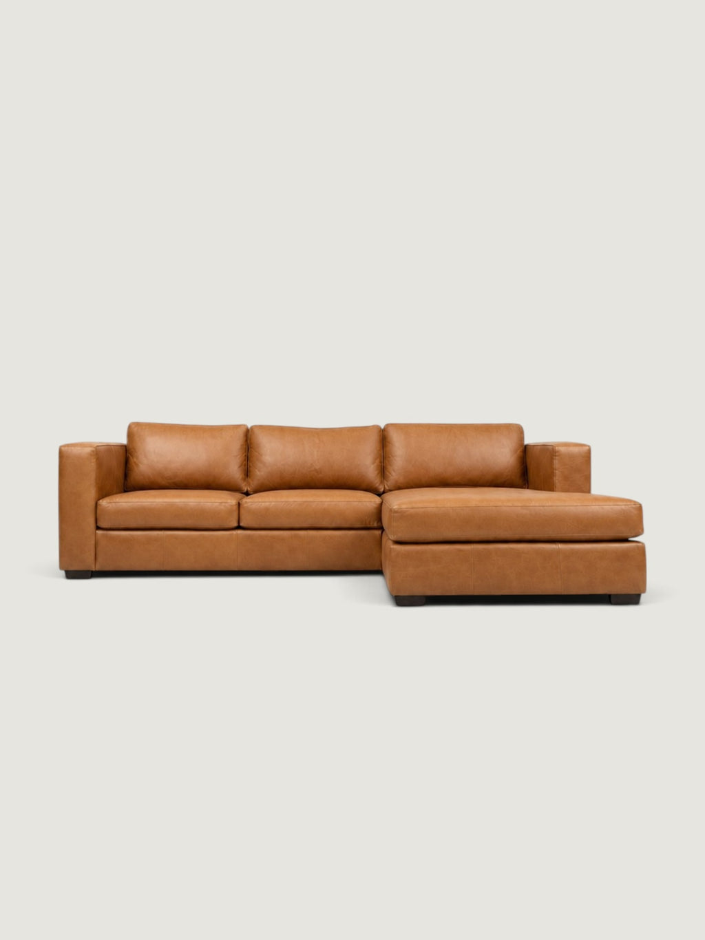 Zuri Leather Daybed