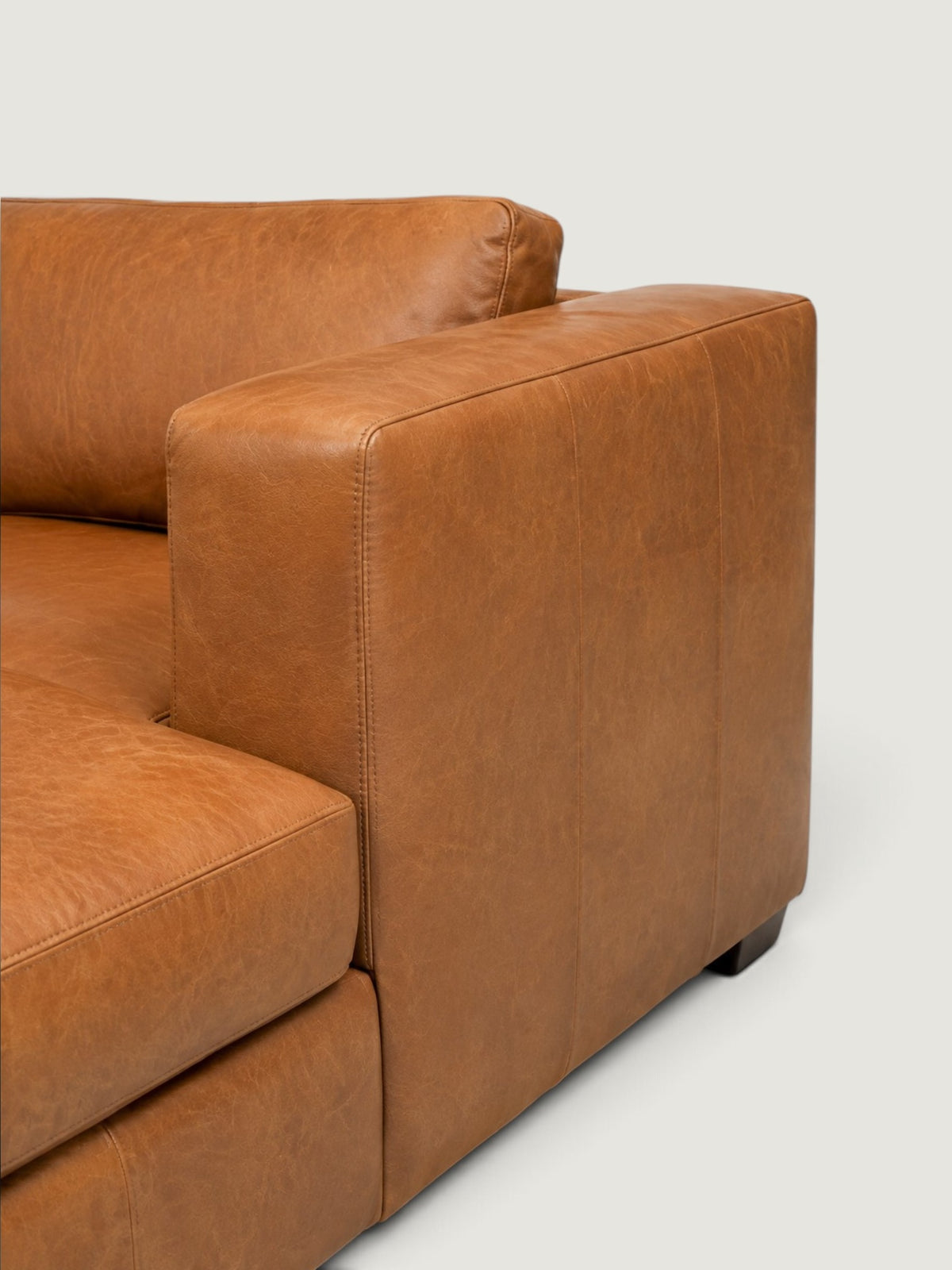 Zuri Leather Daybed