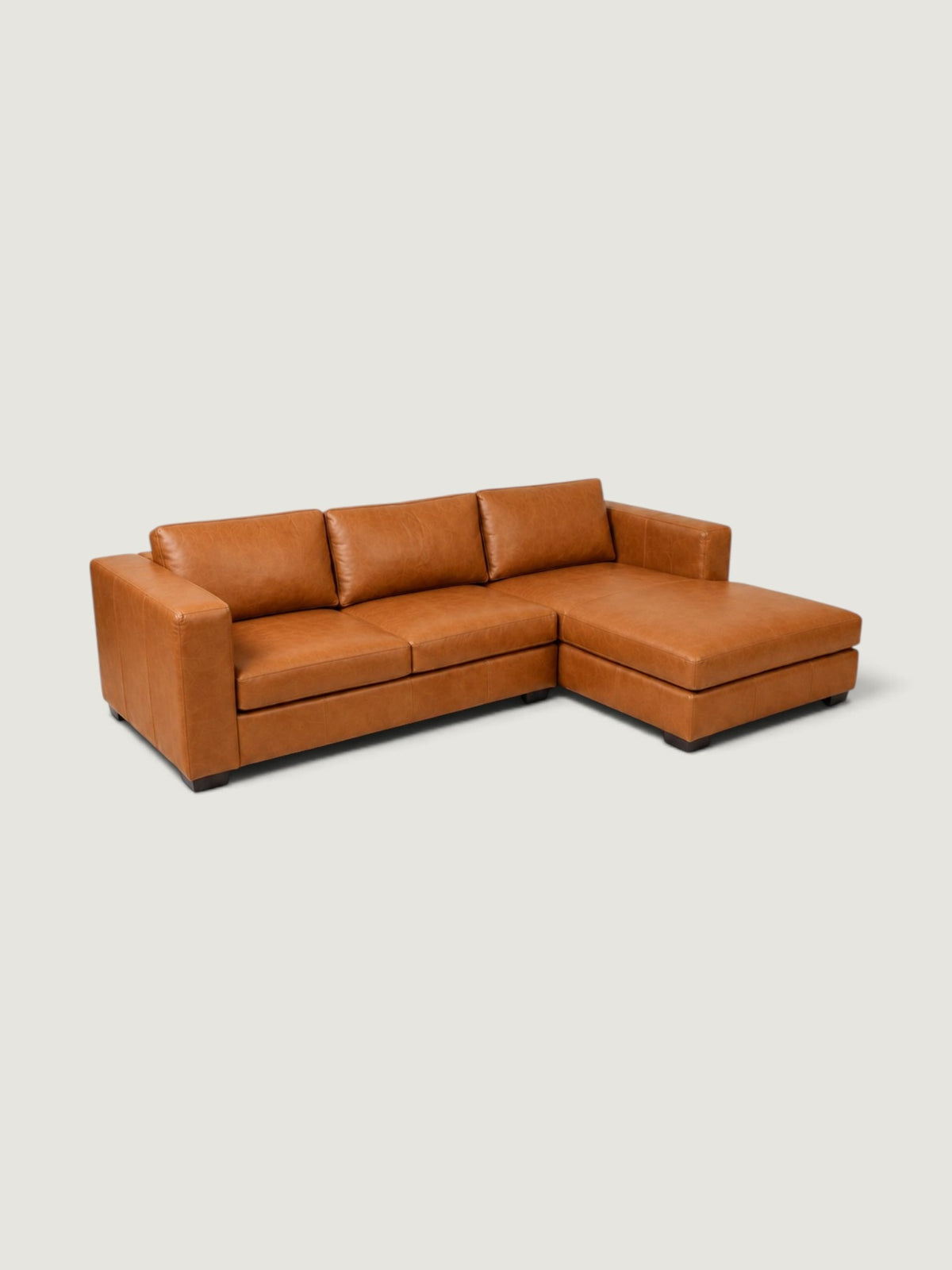 Zuri Leather Daybed