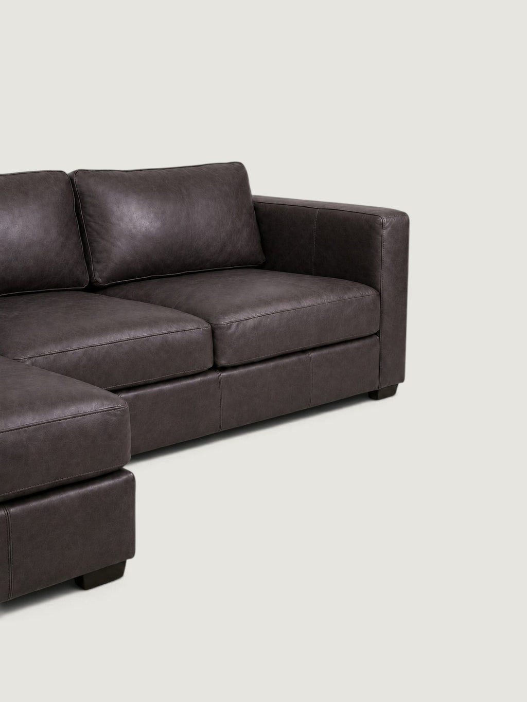 Zuri Leather Daybed