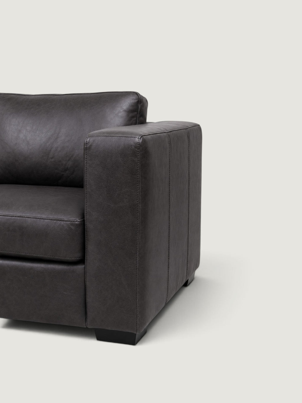 Zuri Leather Daybed