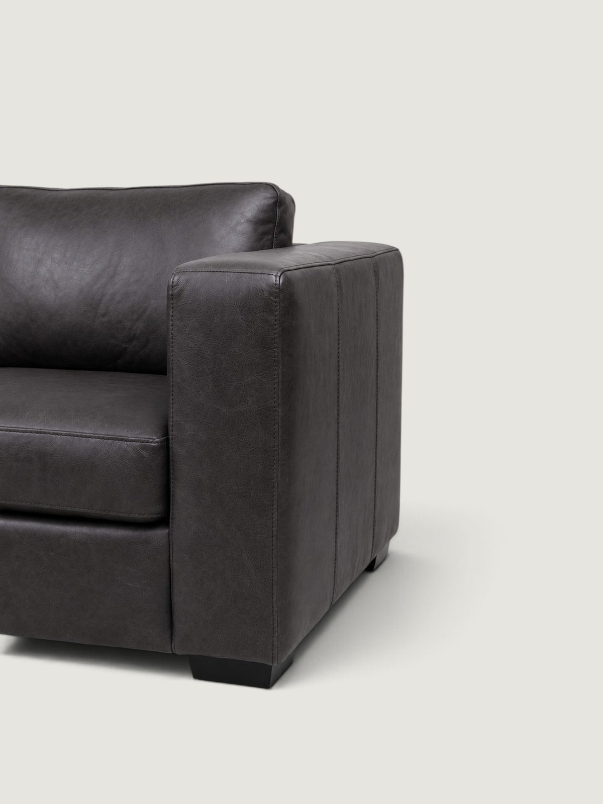 Zuri Leather Daybed