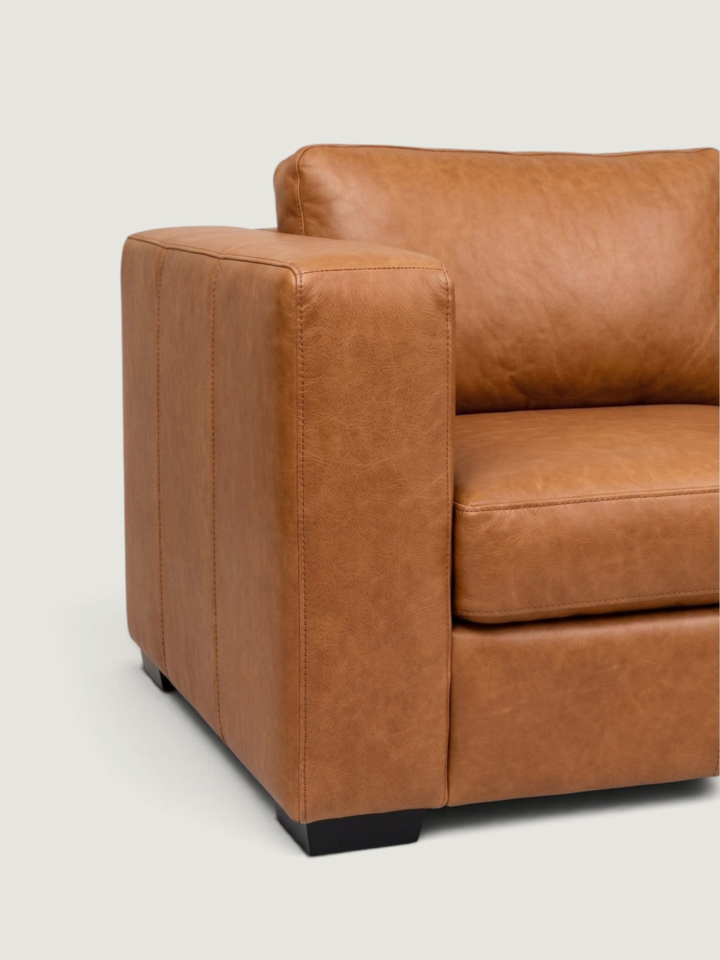 Zuri Leather Daybed