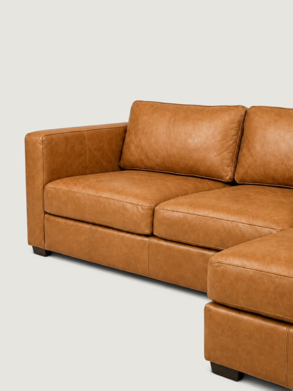 Zuri Leather Daybed
