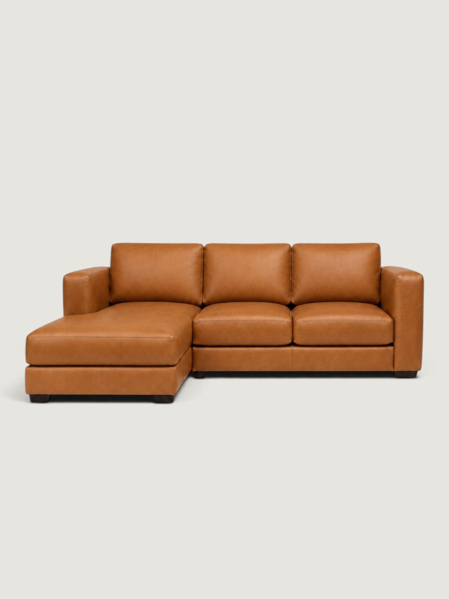 Zuri Leather Daybed