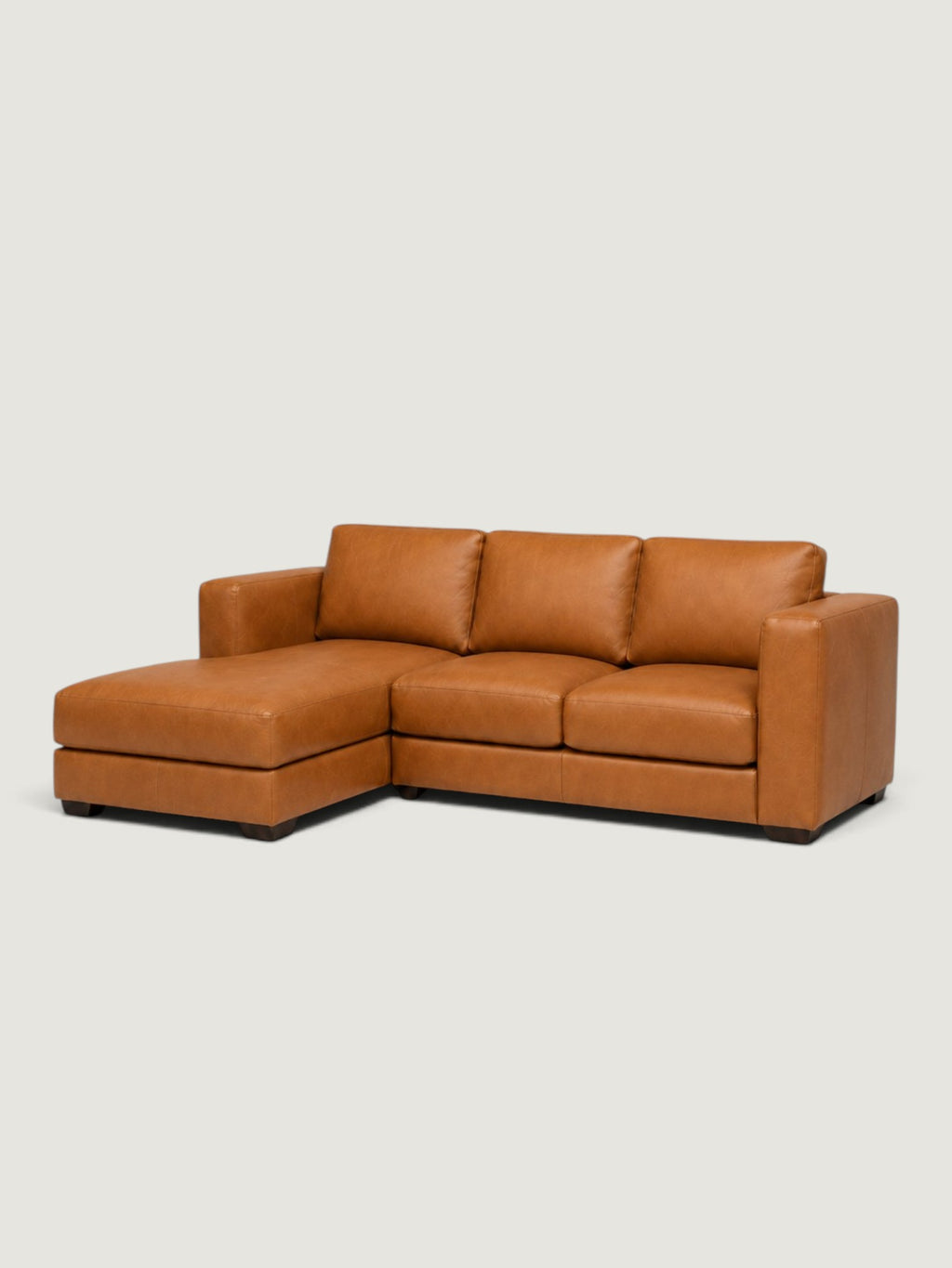 Zuri Leather Daybed