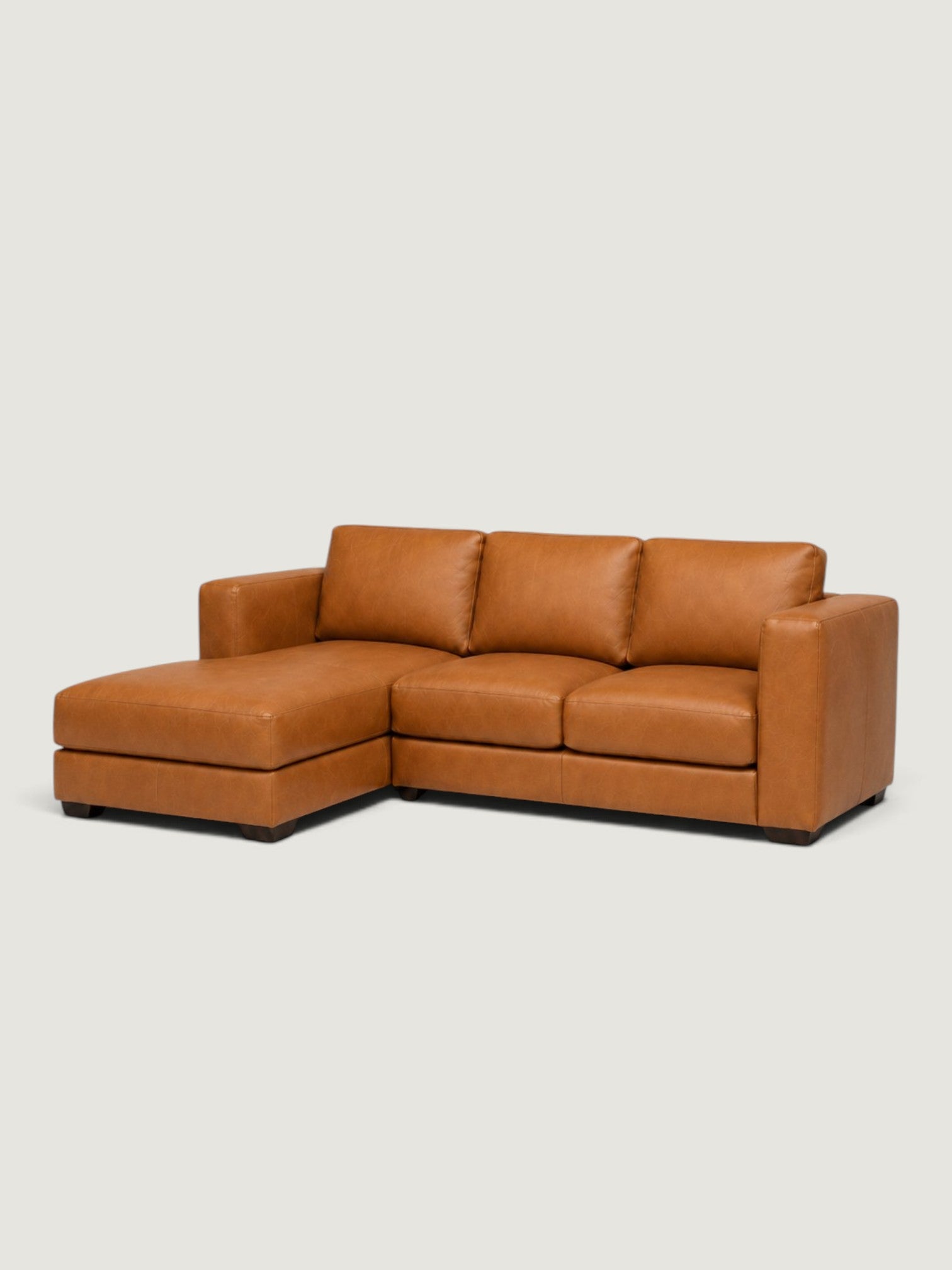 Zuri Leather Daybed