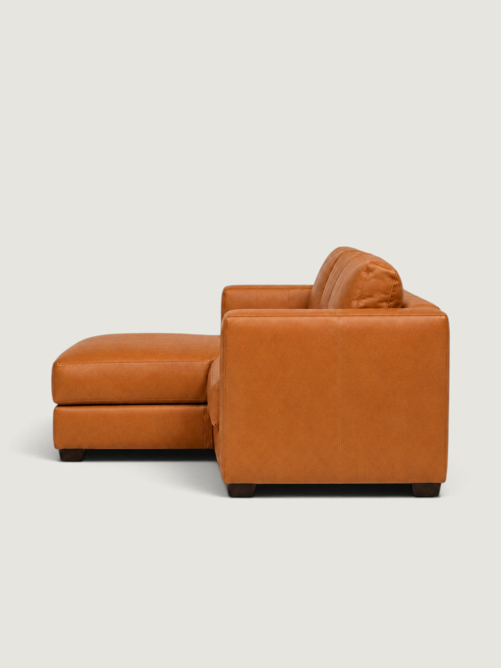 Zuri Leather Daybed