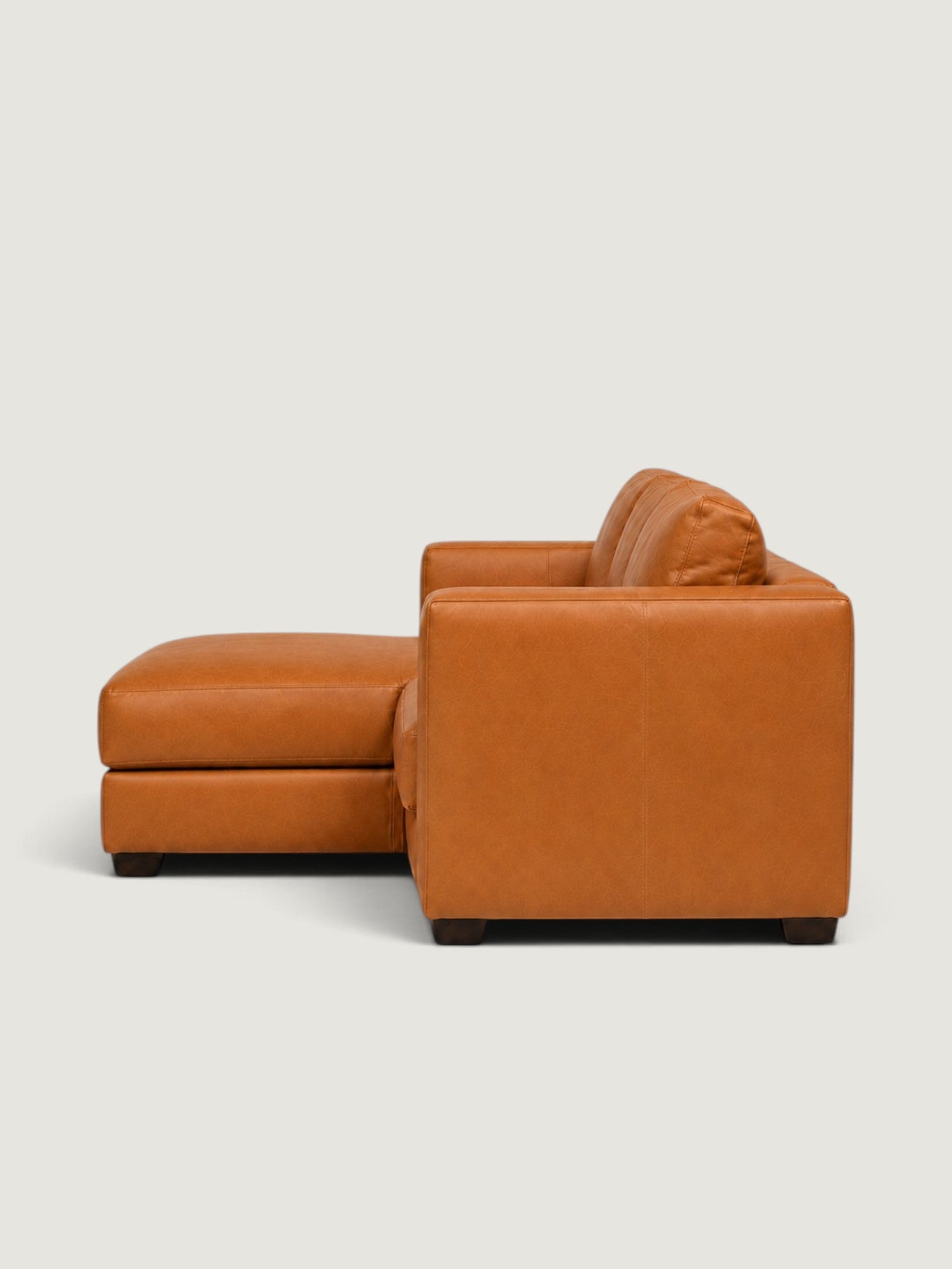 Zuri Leather Daybed