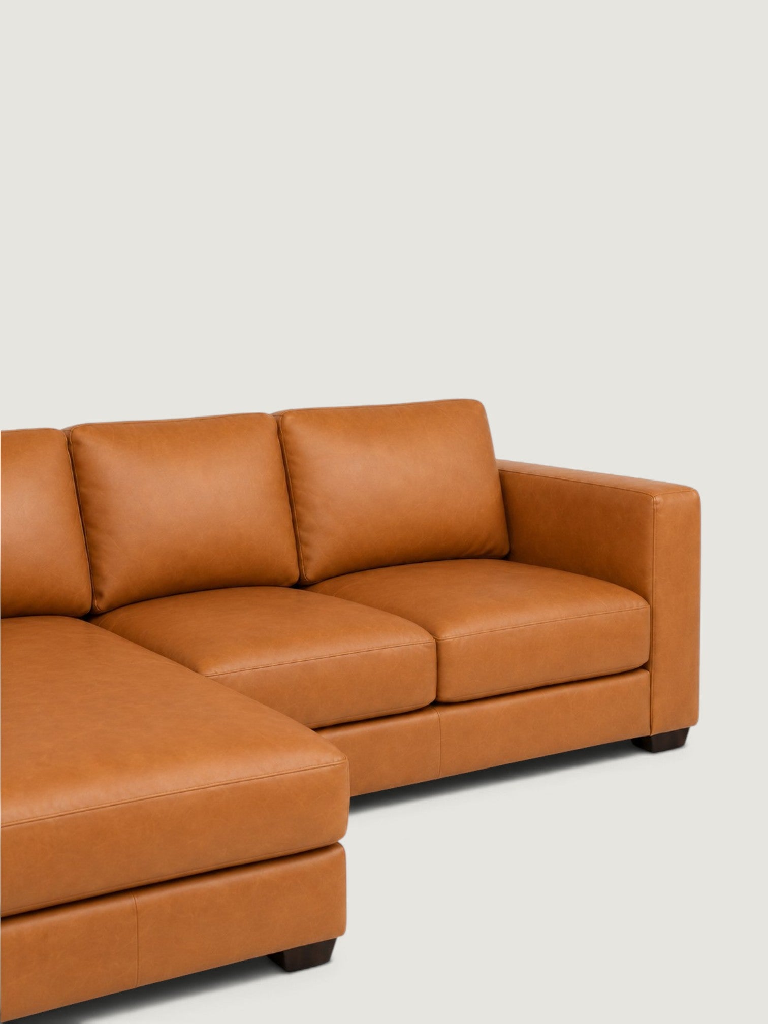 Zuri Leather Daybed