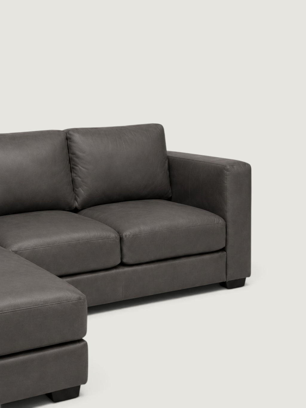 Zuri Leather Daybed