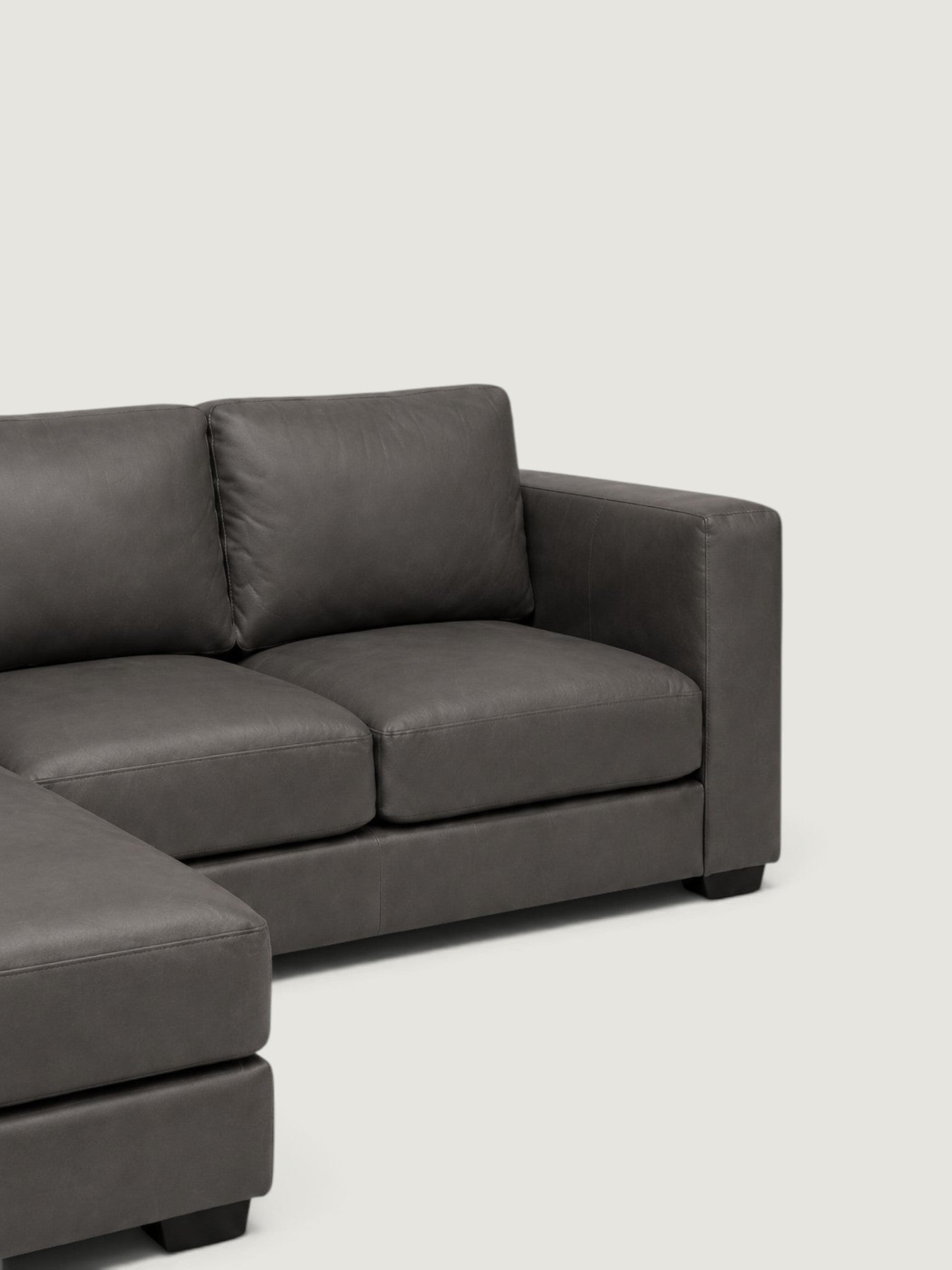 Zuri Leather Daybed