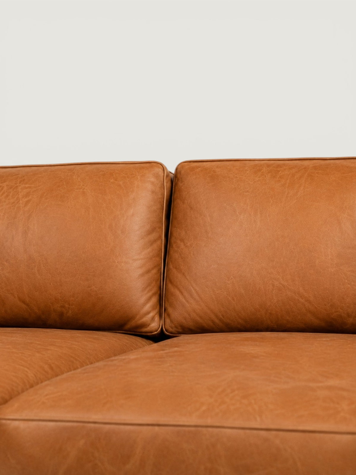 Zuri Leather Daybed
