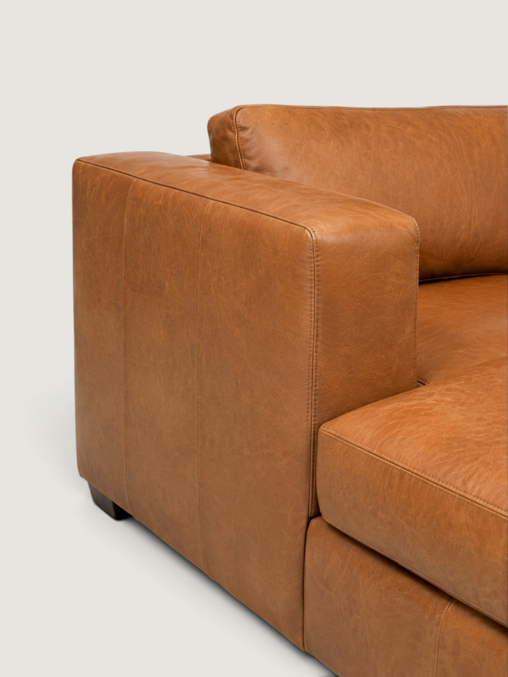 Zuri Leather Daybed