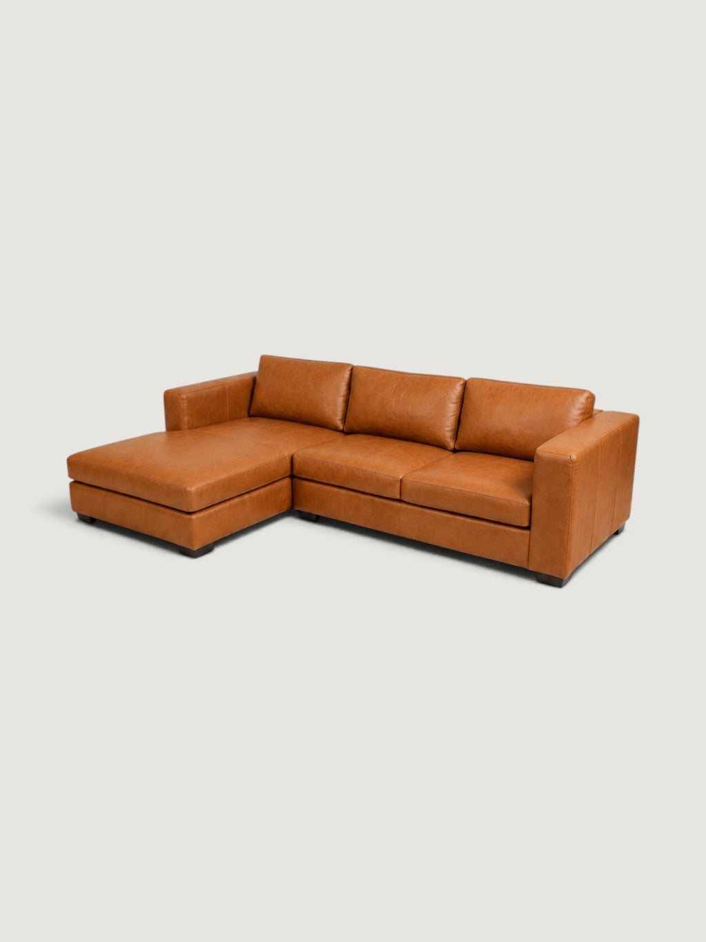 Zuri Leather Daybed