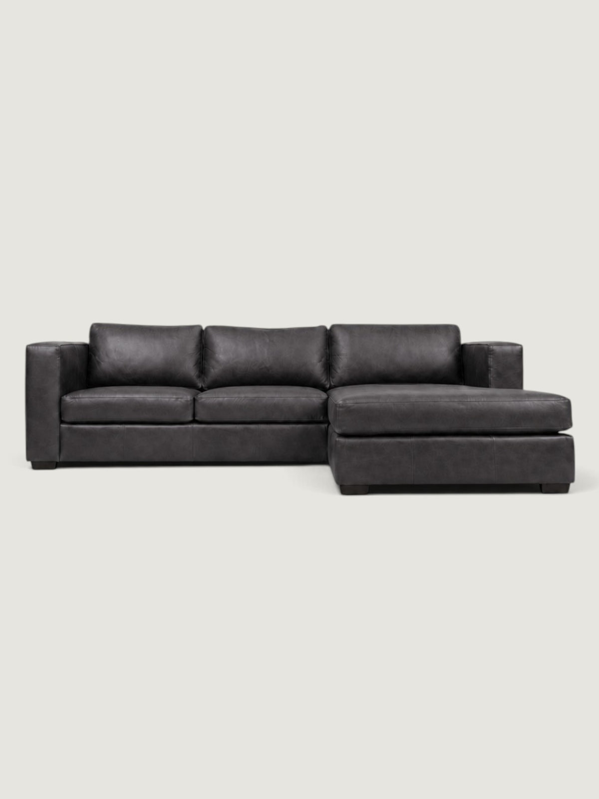 Zuri Leather Daybed