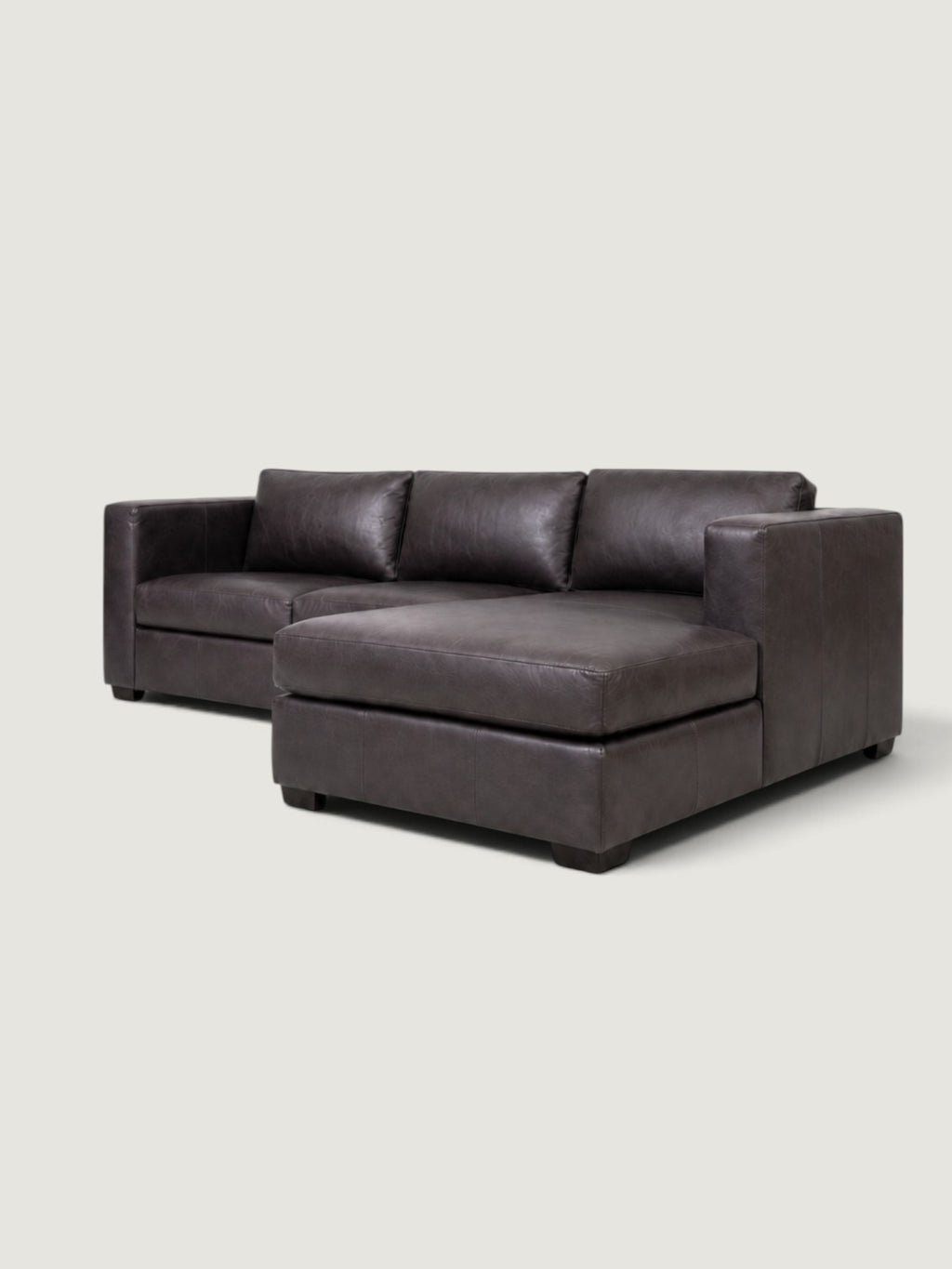 Zuri Leather Daybed