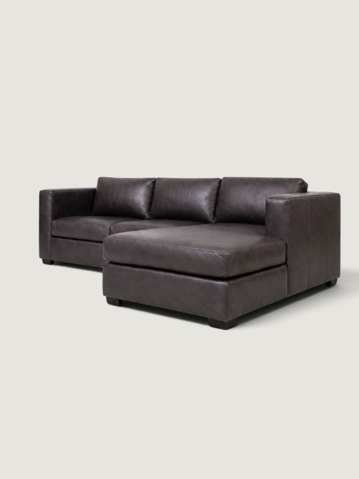 Zuri Leather Daybed