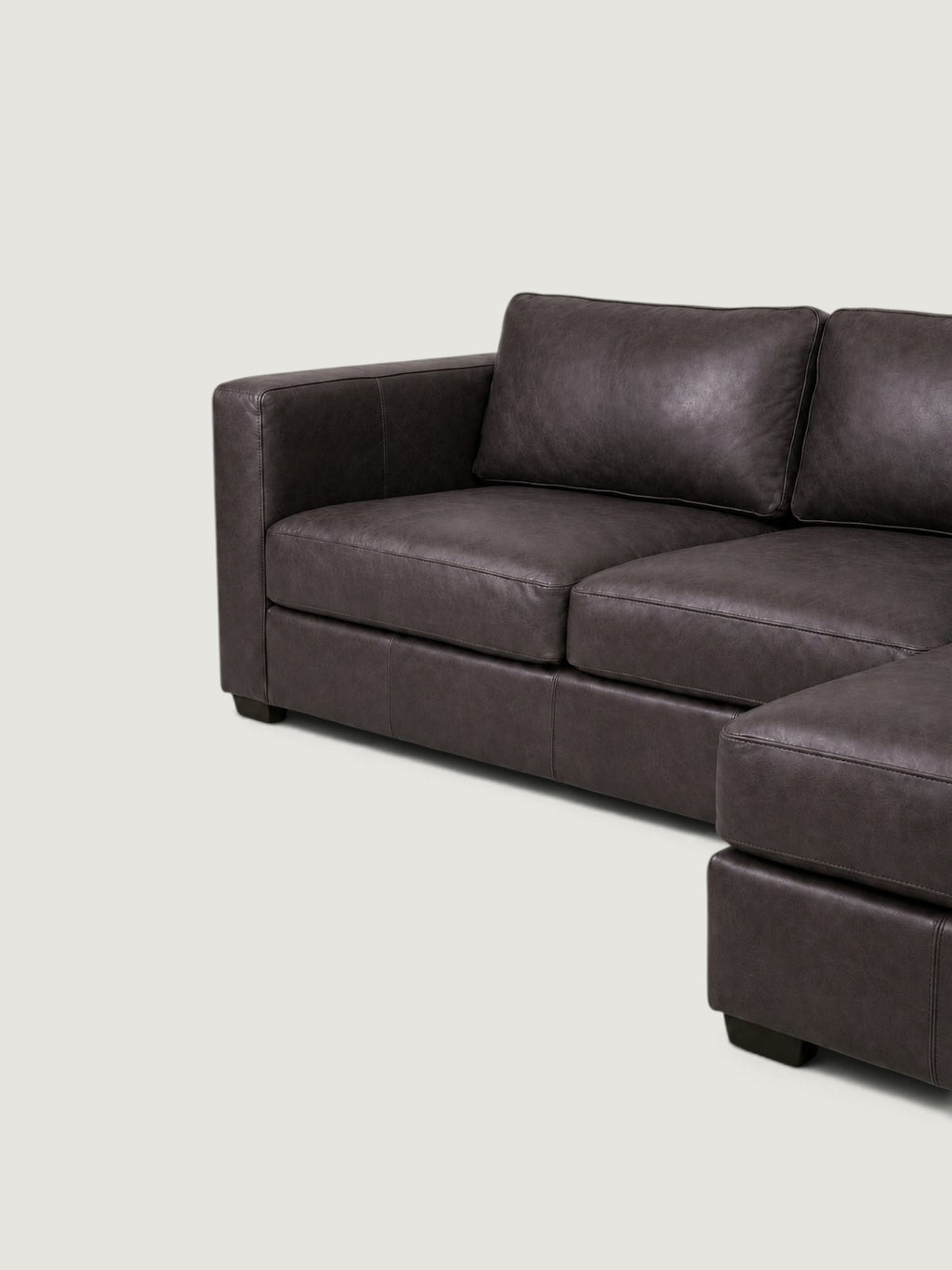 Zuri Leather Daybed