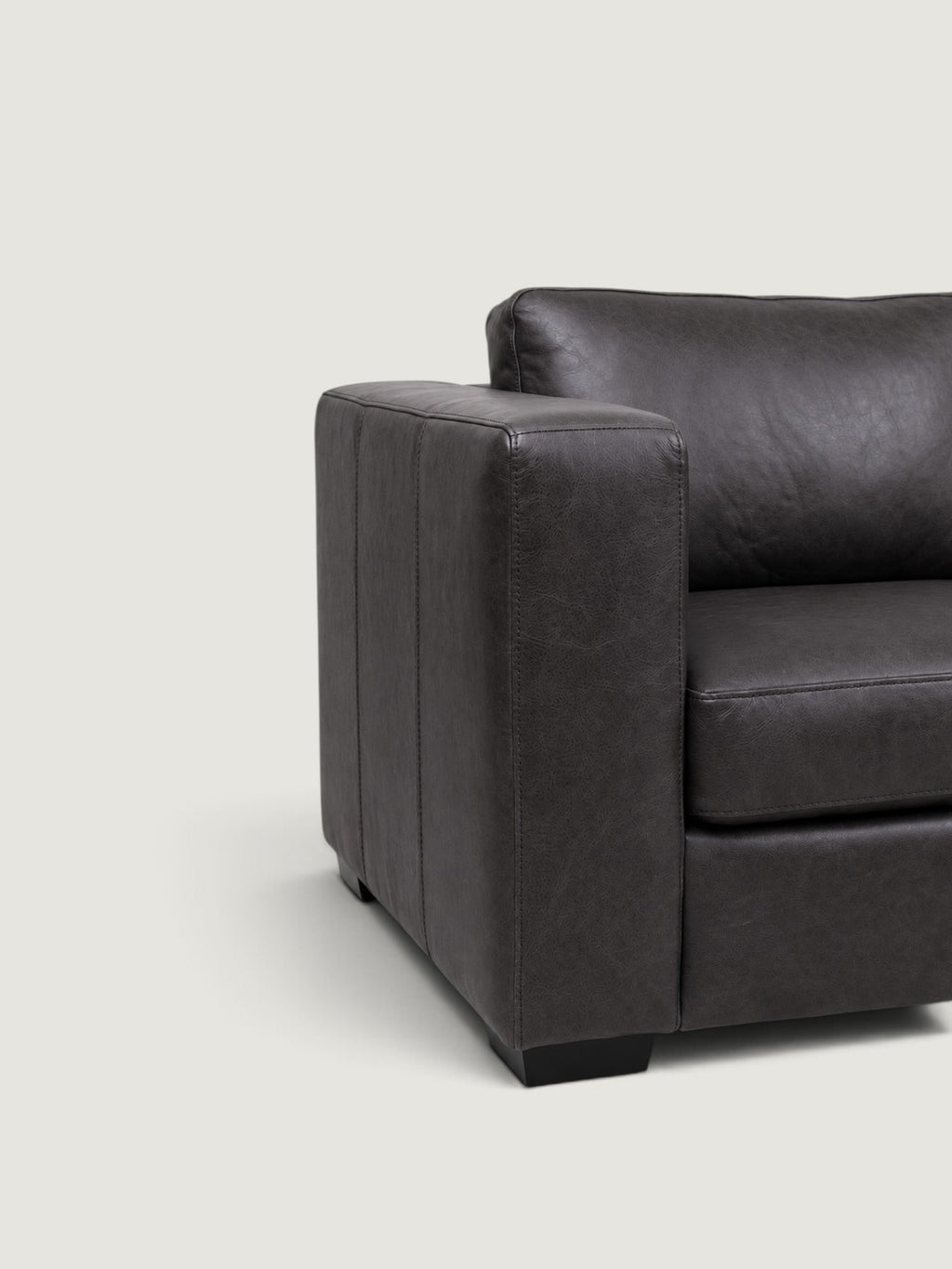 Zuri Leather Daybed