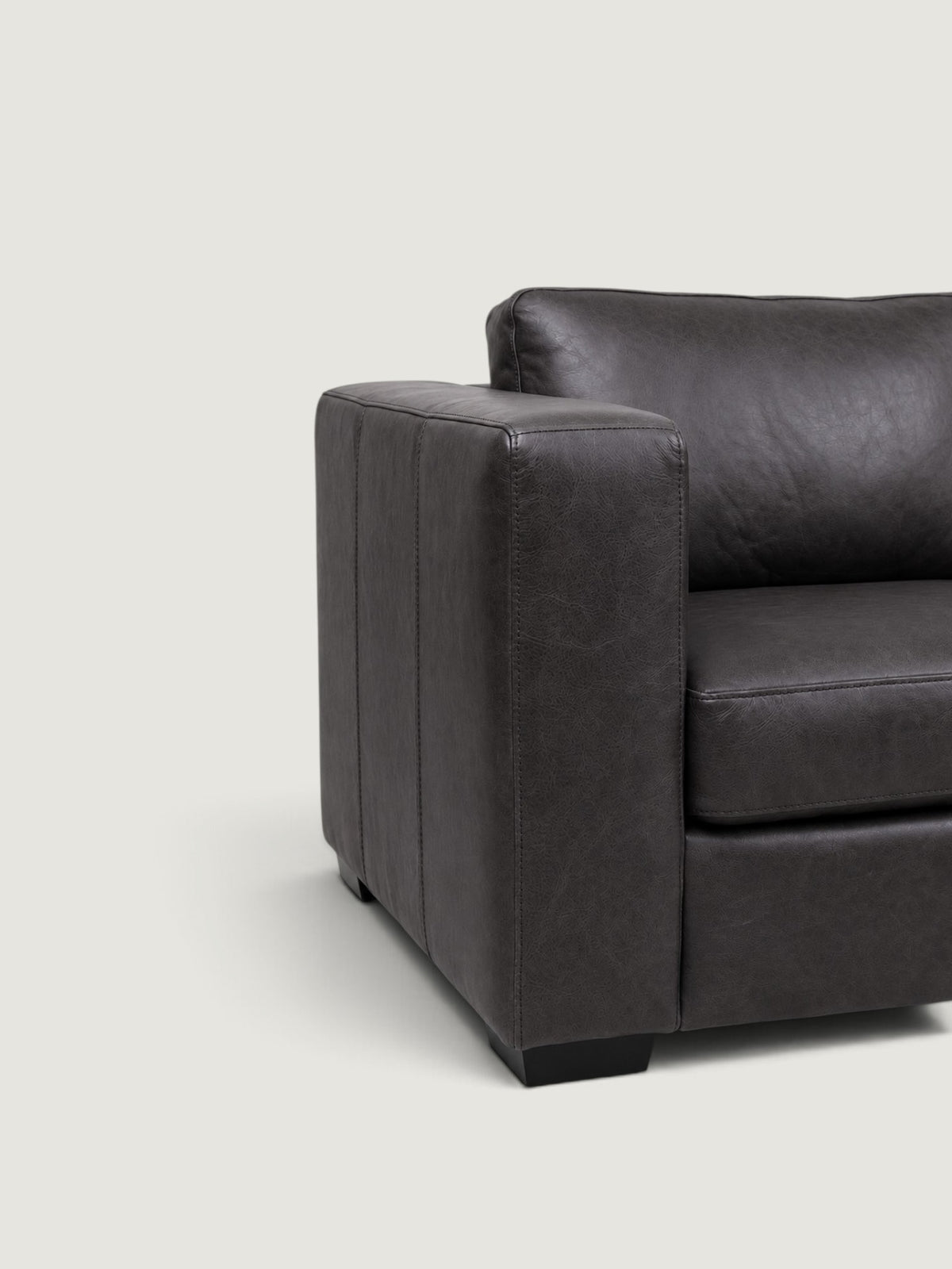 Zuri Leather Daybed