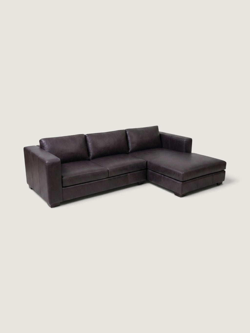 Zuri Leather Daybed