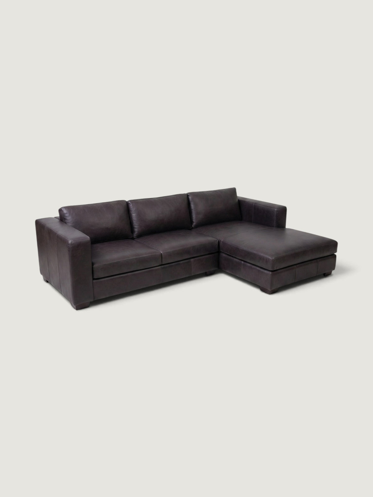 Zuri Leather Daybed