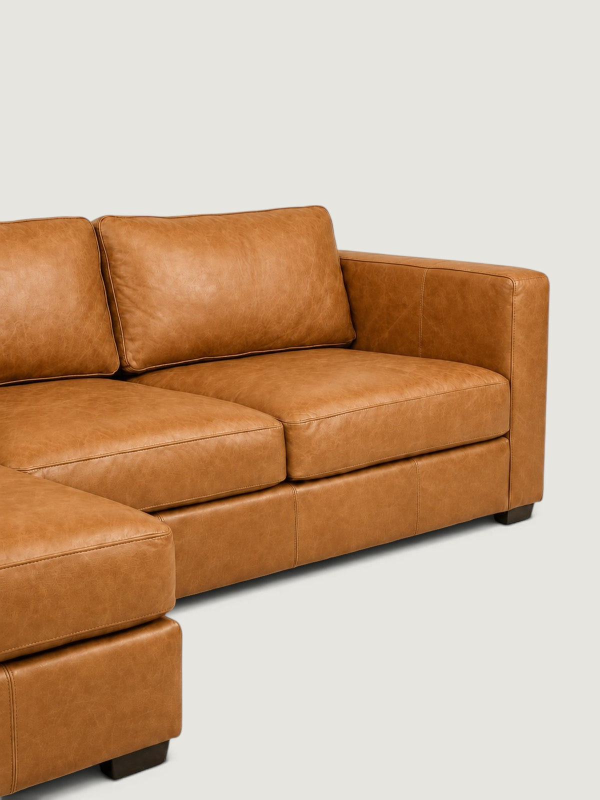 Zuri Leather Daybed