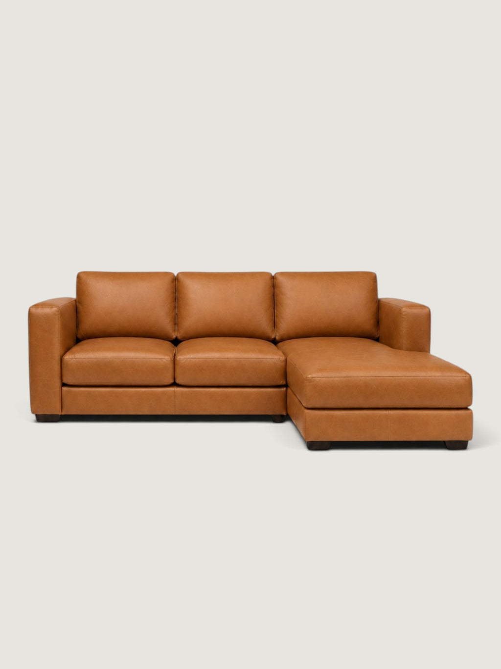 Zuri Leather Daybed