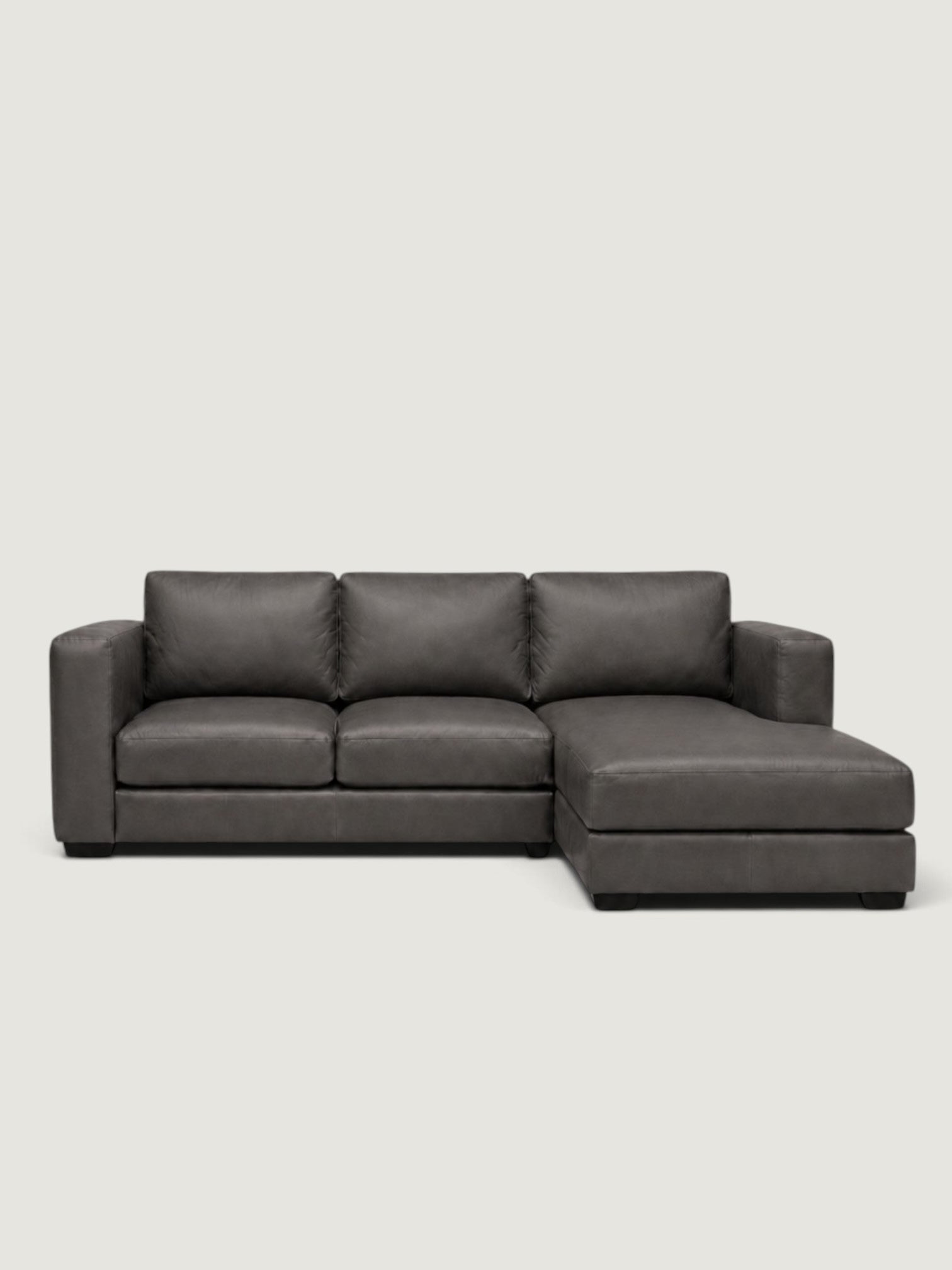 Zuri Leather Daybed
