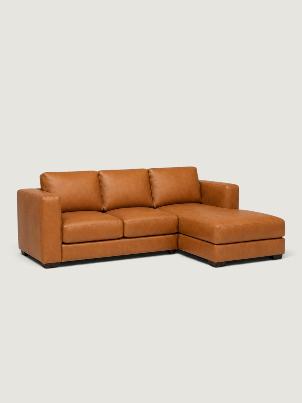 Zuri Leather Daybed