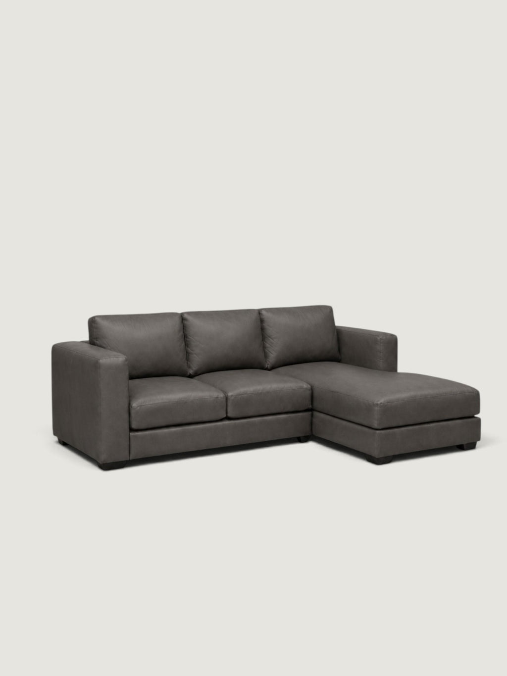 Zuri Leather Daybed