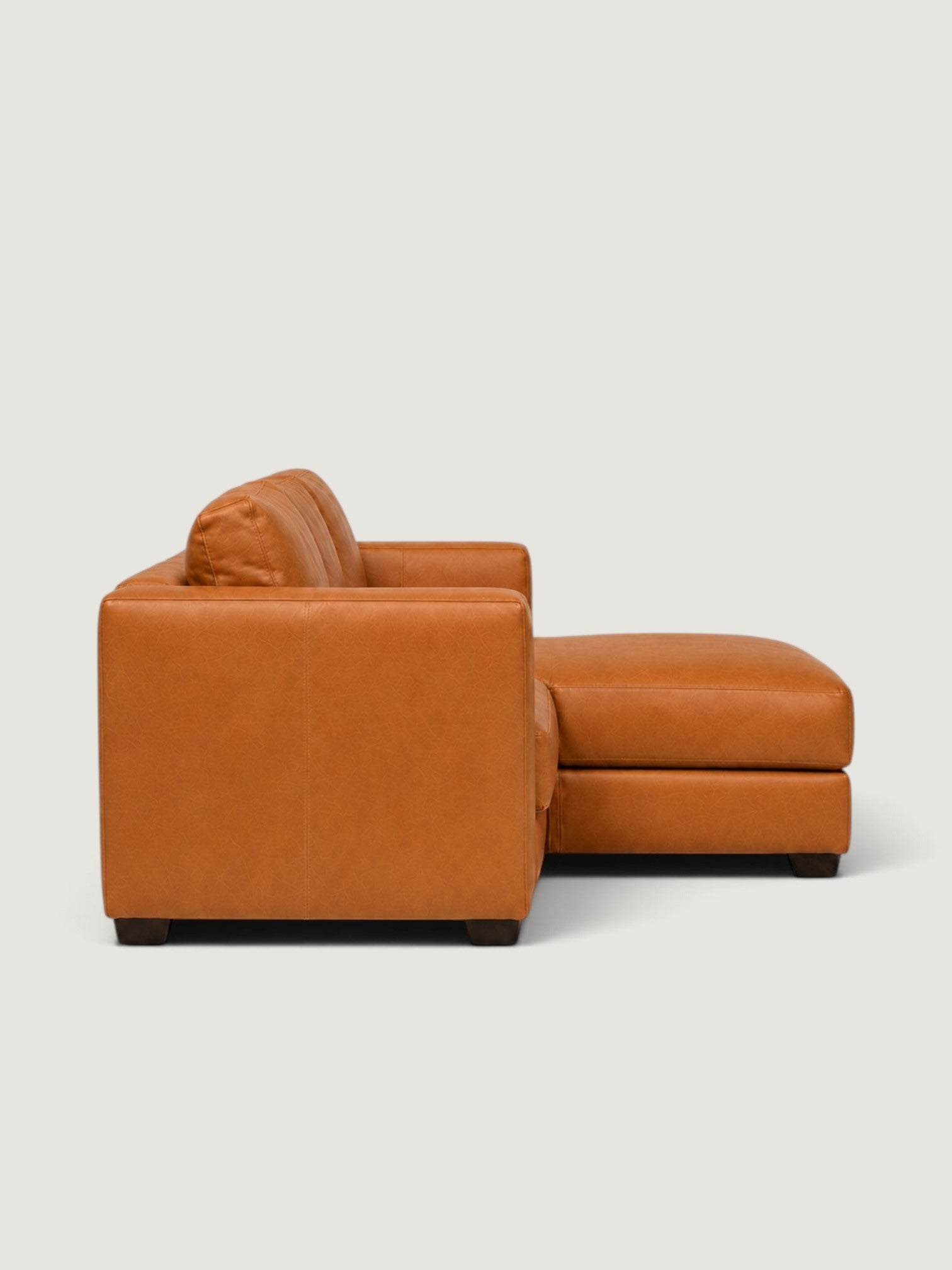 Zuri Leather Daybed