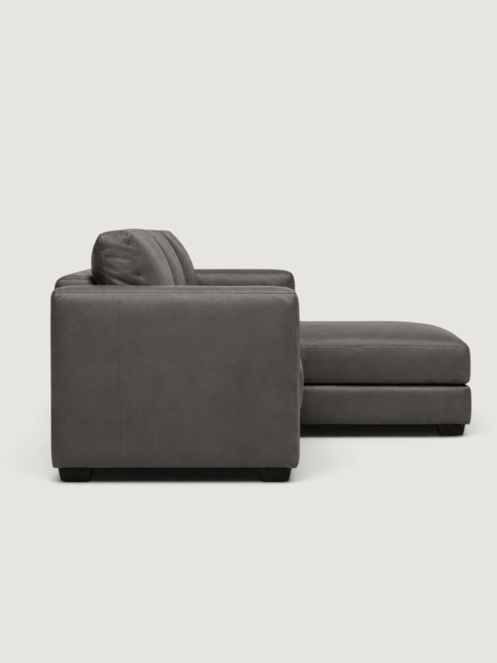 Zuri Leather Daybed
