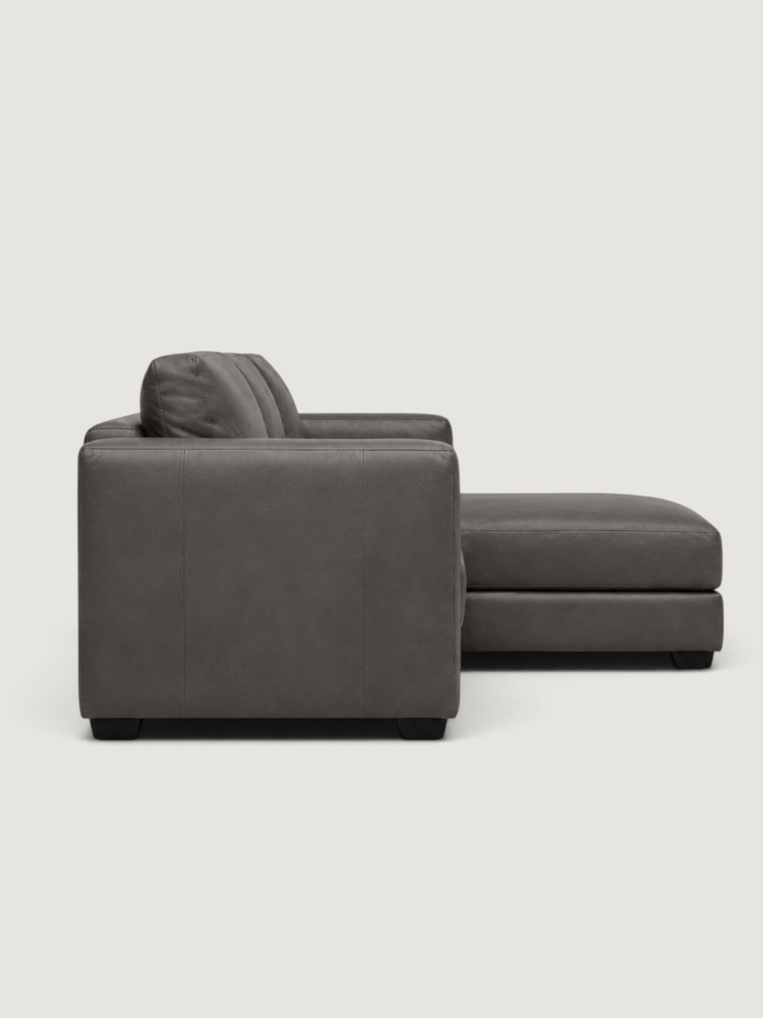 Zuri Leather Daybed