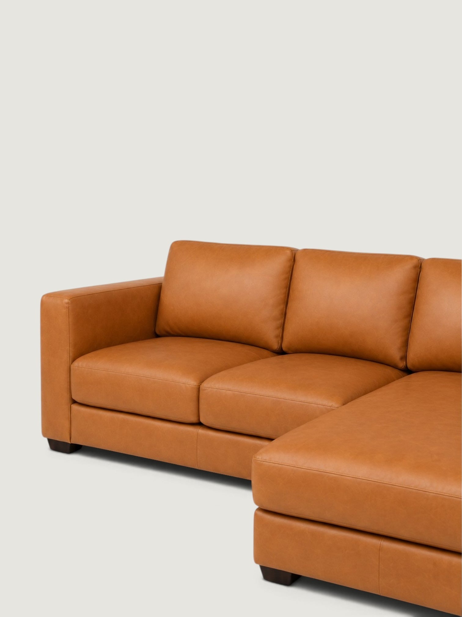 Zuri Leather Daybed