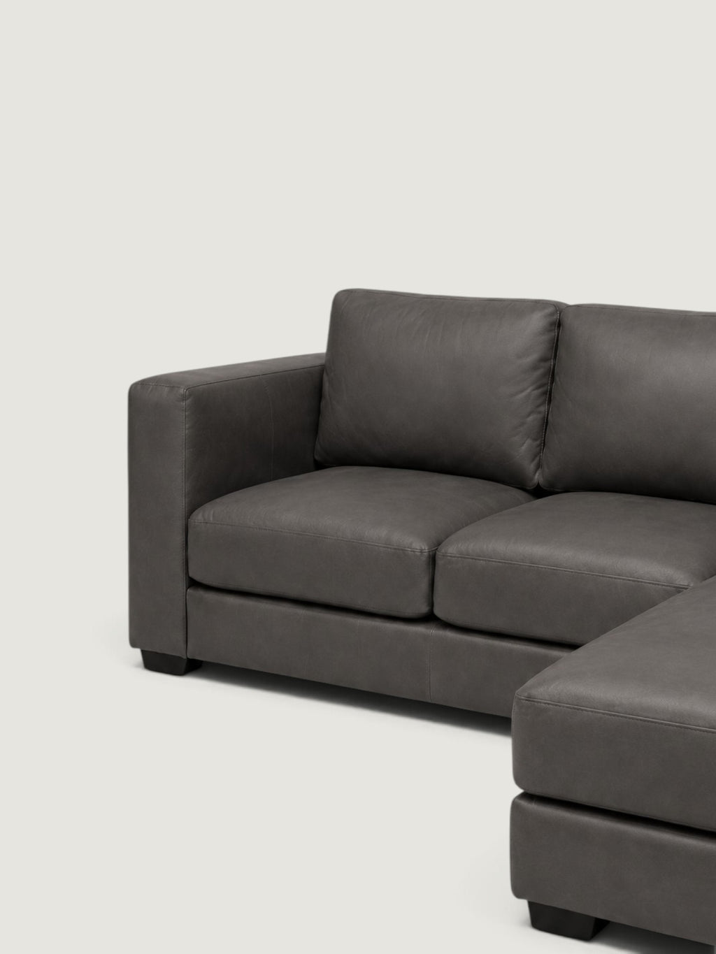 Zuri Leather Daybed