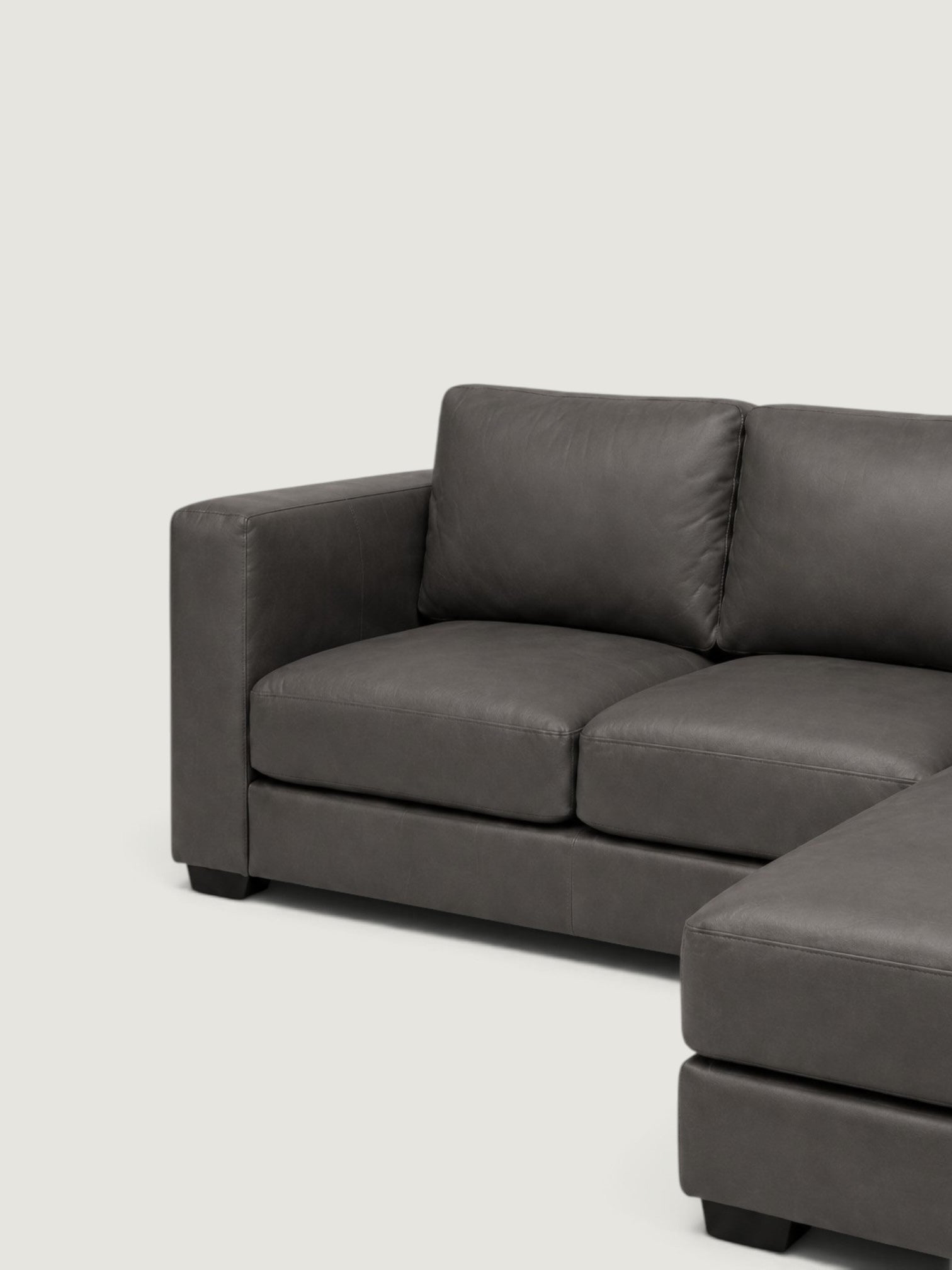 Zuri Leather Daybed