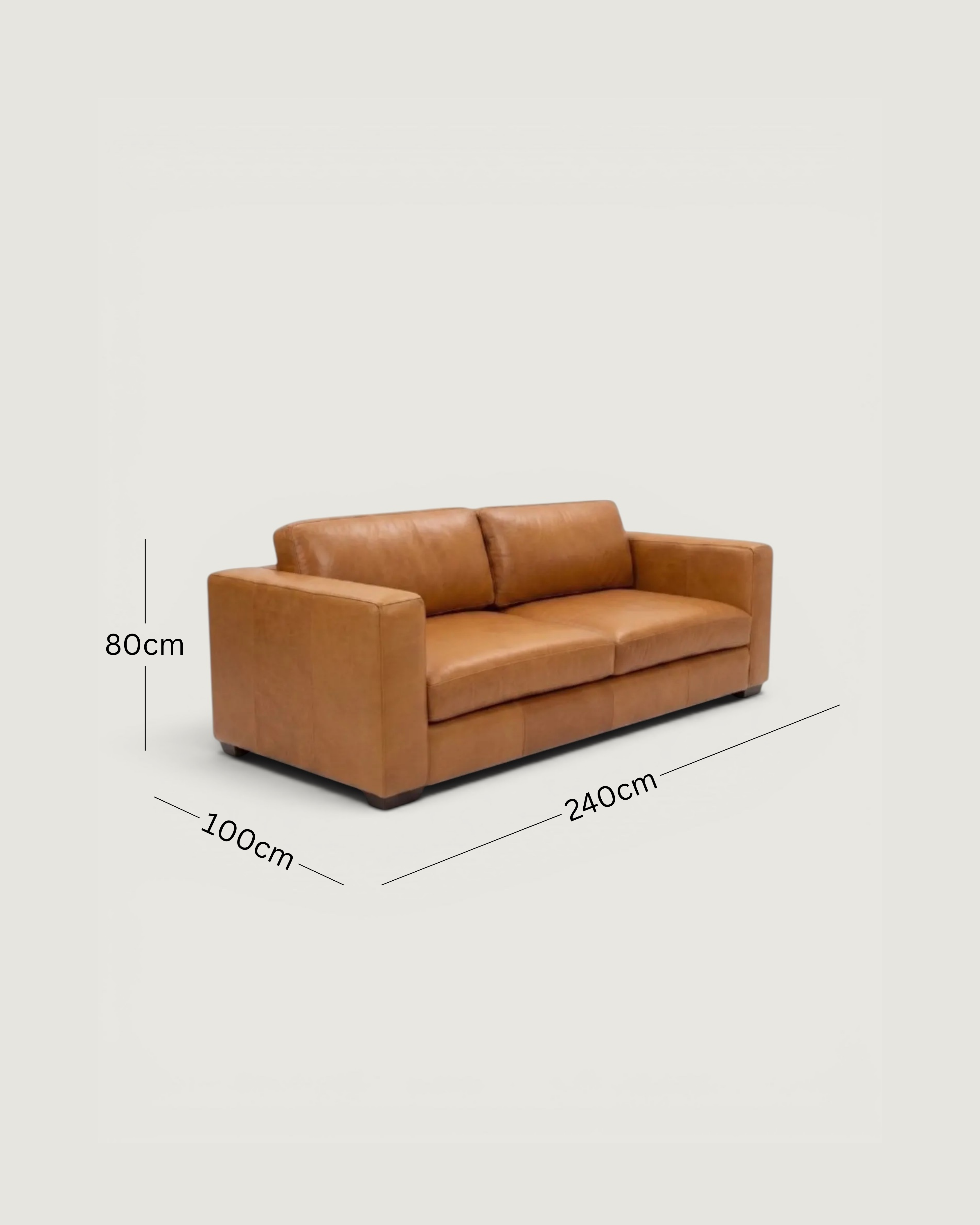Zuri 4 Seater Leather Couch